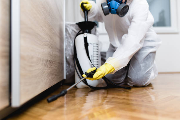 Best Ant Control Services  in Whittier, CA