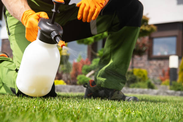 Best Pest Removal Services  in Whittier, CA