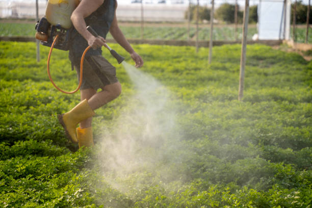 Best Residential Pest Control  in Whittier, CA