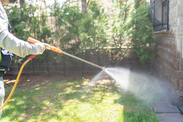 Best Flea Control Services  in Whittier, CA